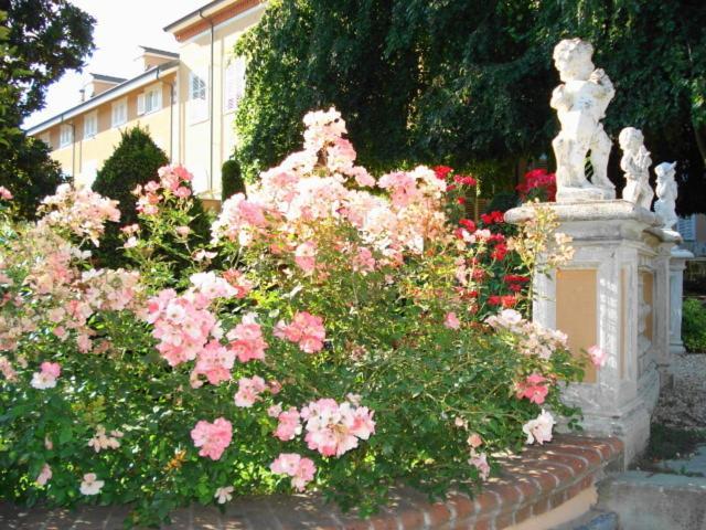 Park Salzea Trofarello