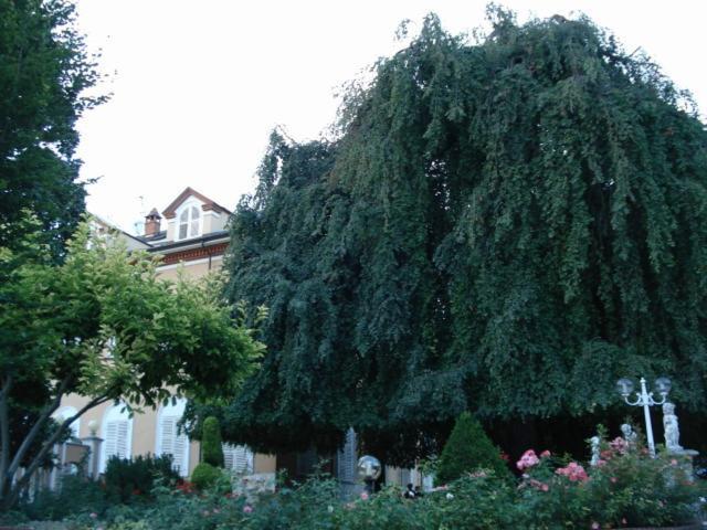 Park Salzea Trofarello